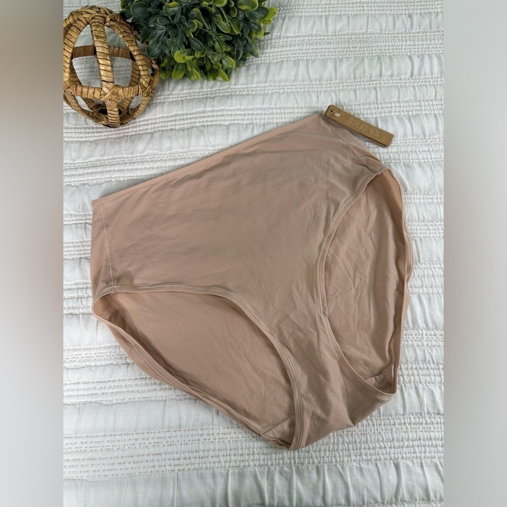 SKIMS Women’s Brief Panties in Mica Size 3X